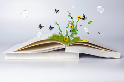 英國溫布爾大學國際碩士證書認可度怎么樣？
